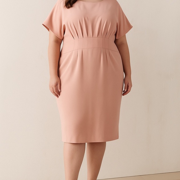 Antonio Melani Blush Pink Pleated Waist Sheath Dress | Size 14 - Picture 1 of 5